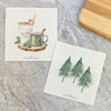 2 pk - Christmas Dish Cloth