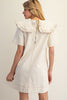 Ruffle Collar Mini Dress