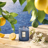 5.5oz VOLUSPA SMALL JAR CANDLE