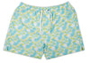 Southern Swim 5.5