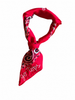 Customed Embroidered Bandanas
