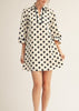 Polka Dot Woven Dress