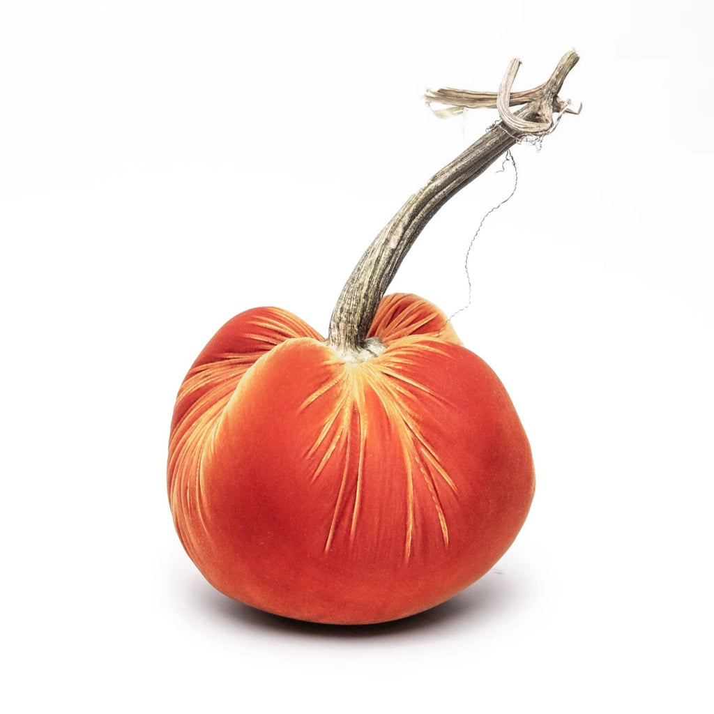 Jumbo Velvet Pumpkin