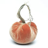 Jumbo Junior Velvet Pumpkin