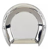 Silver Plated 3-D Horseshoe Cheese Plate with Knife