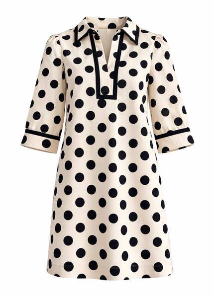 Polka Dot Woven Dress