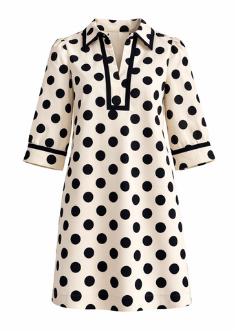 Polka Dot Woven Dress