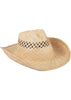 Desert Cowboy