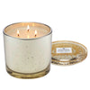 VOLUSPA 3 WICK GRANDE MAISON CANDLE