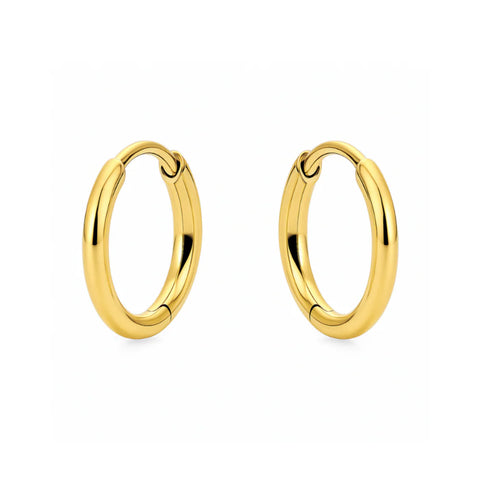 Erin Mini Hoop Earring