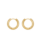 Huggie Hoops w/ Charms