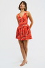 Evangeline Dress - Strawberry Bliss