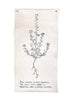 Botanical Wall Art