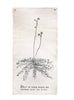 Botanical Wall Art
