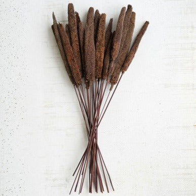 bundles of 20 dried cattails