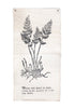 Botanical Wall Art